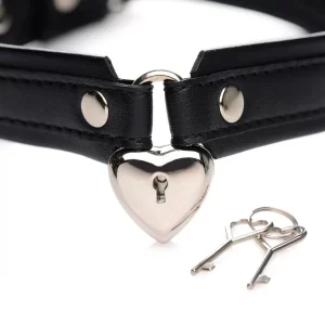 Lieblingsschmuck Abschließbares Choker-Halsband »Locking Heart Collar« 14