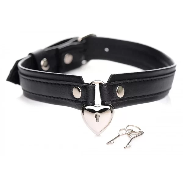 Lieblingsschmuck Abschließbares Choker-Halsband »Locking Heart Collar« 1