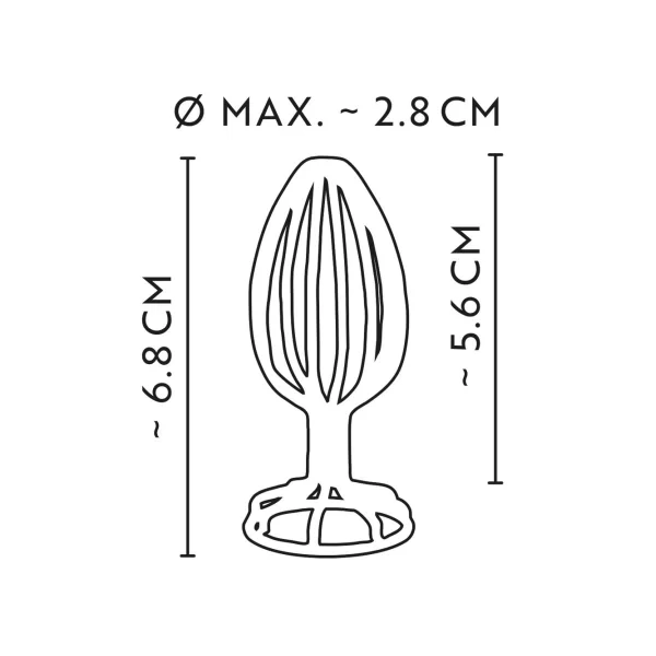 Steelgood! Buttplug »Anal Cage« Aus Edelstahl 5